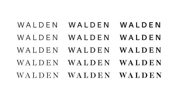 Walden Breakdown Thumbnail